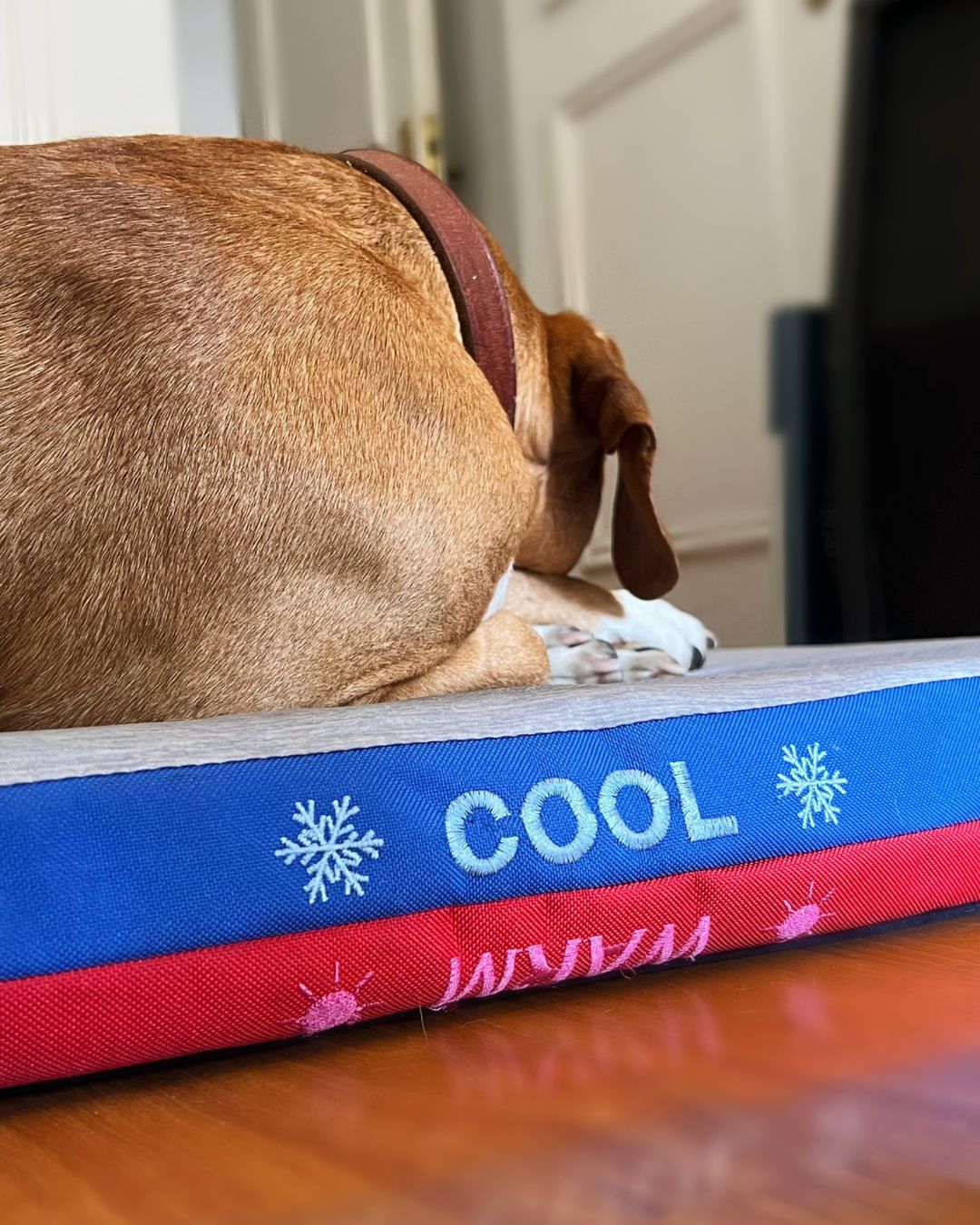 Colchón refrescante 2 en 1 (Frío/Calor)