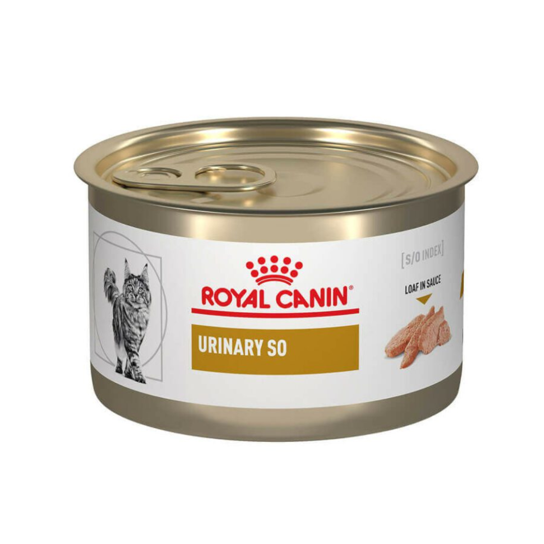 Royal Canin Lata Urinary s/o Felino