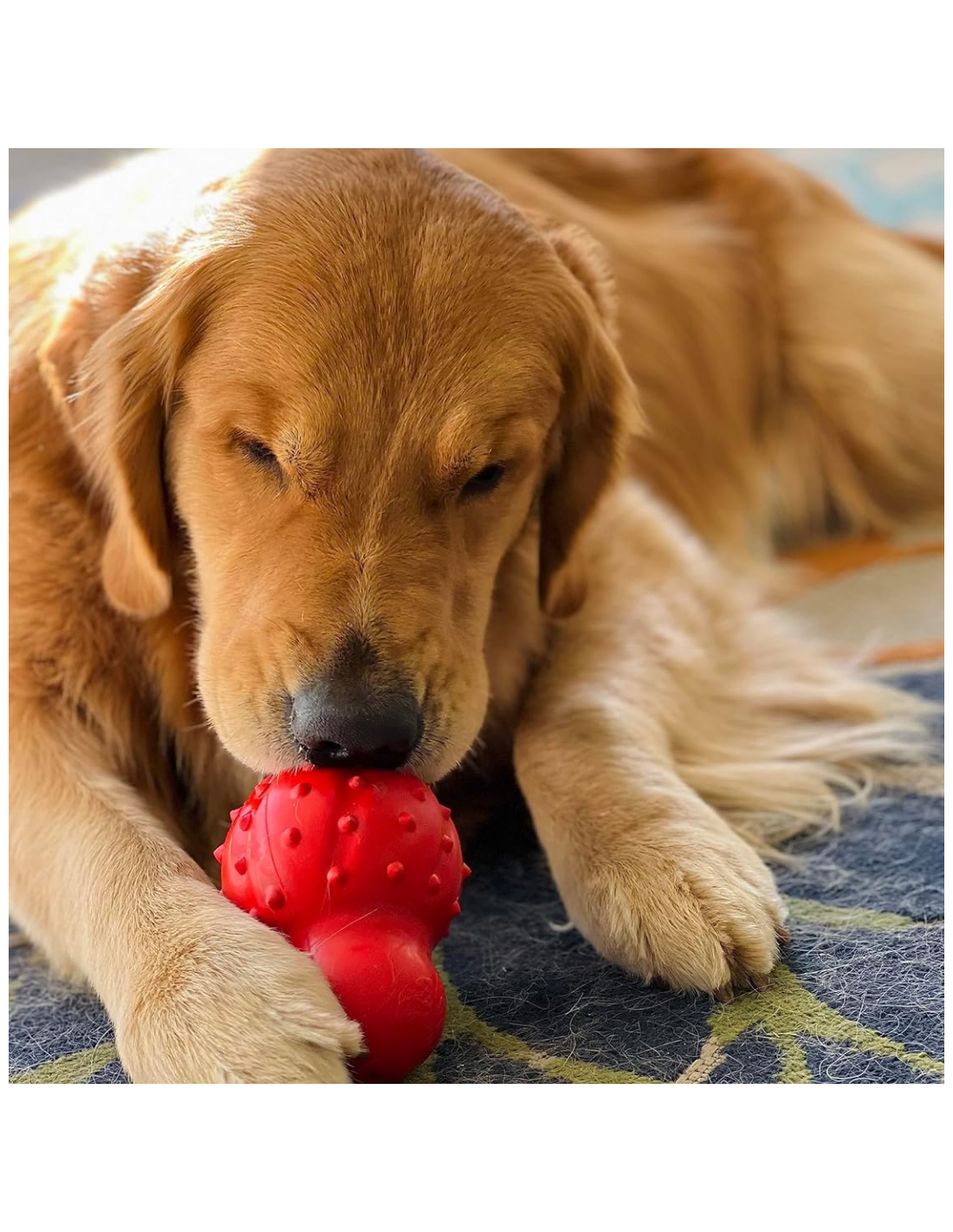 Juguete masticable 3 en 1  Nylabone Strong Chew – rellenable, congelable y con sabor a tocino