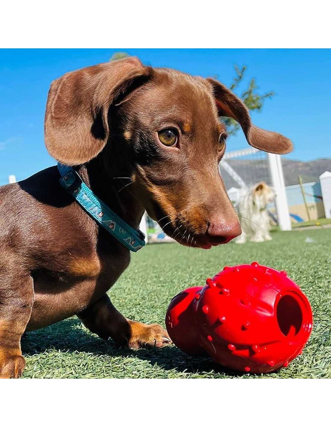 Juguete masticable 3 en 1  Nylabone Strong Chew – rellenable, congelable y con sabor a tocino